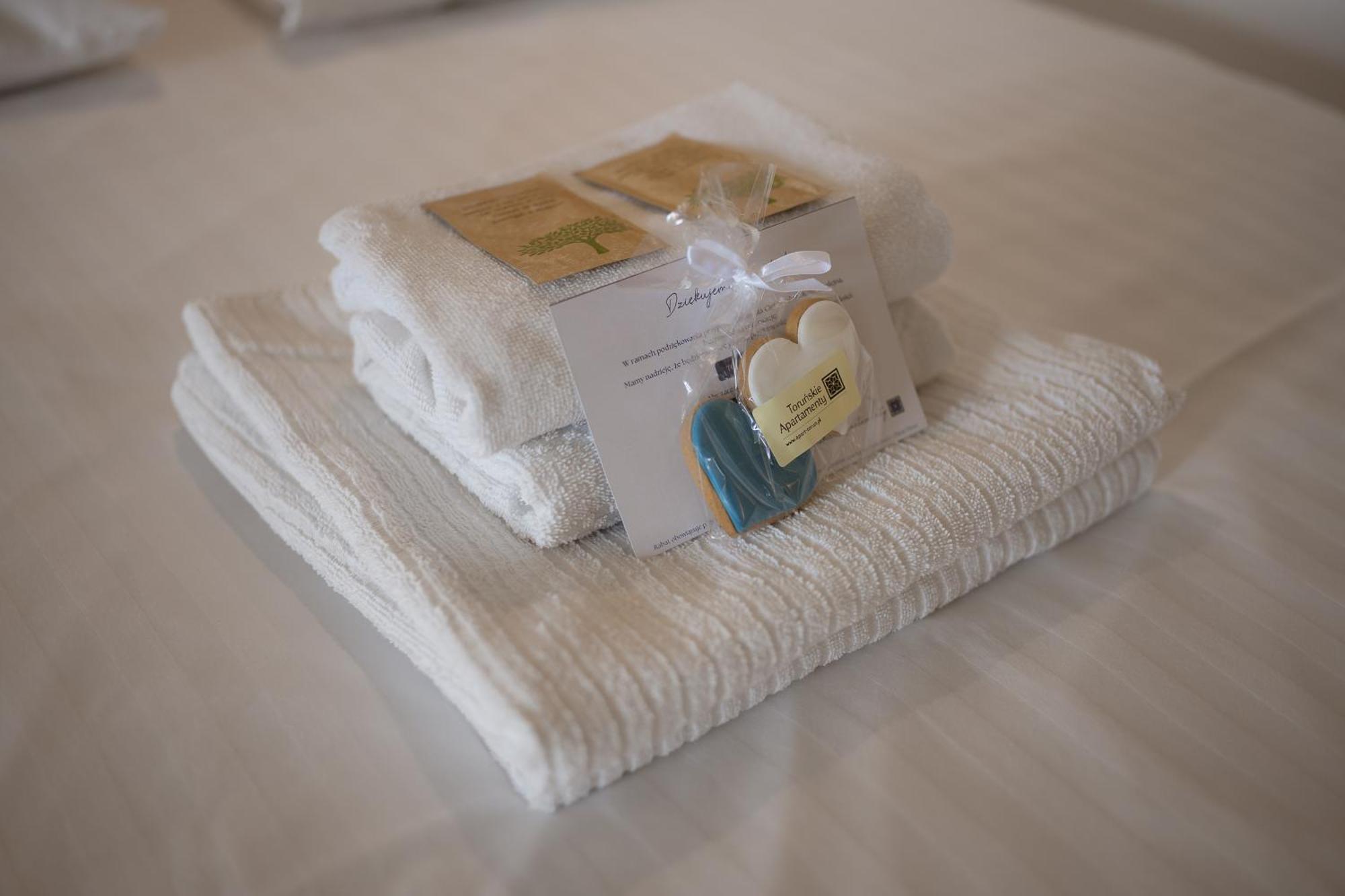 Rustykalny Apartament Daire Stary Toruń Dış mekan fotoğraf